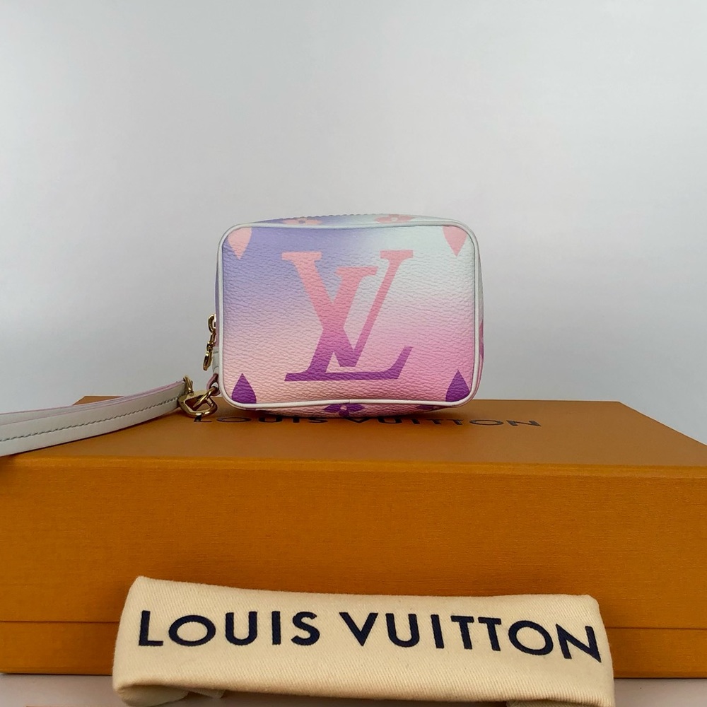 🦄Louis Vuitton WAPITY CASE🦄